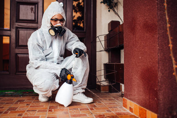 Reliable Wasp Removal contractor in Yorkville, NY by Show Me Pest Control